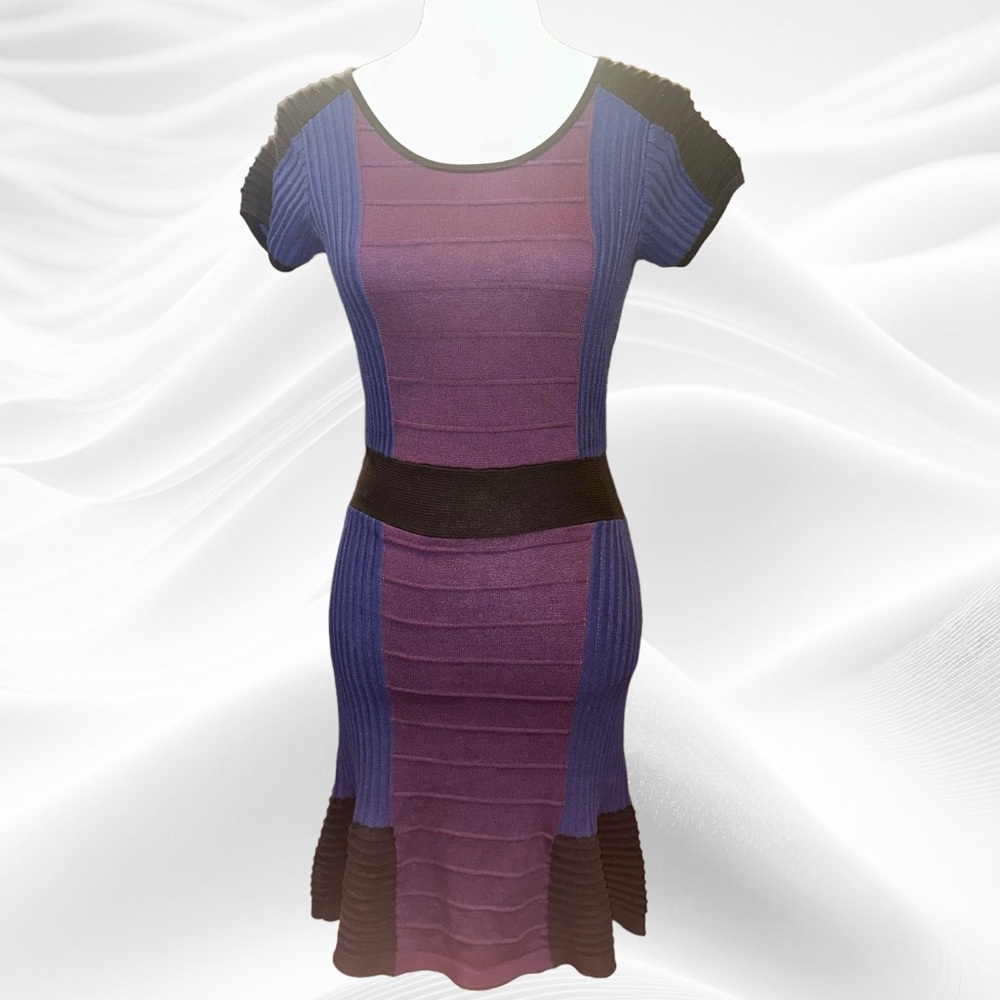 Sandro Purple and Black Ribbed Dress